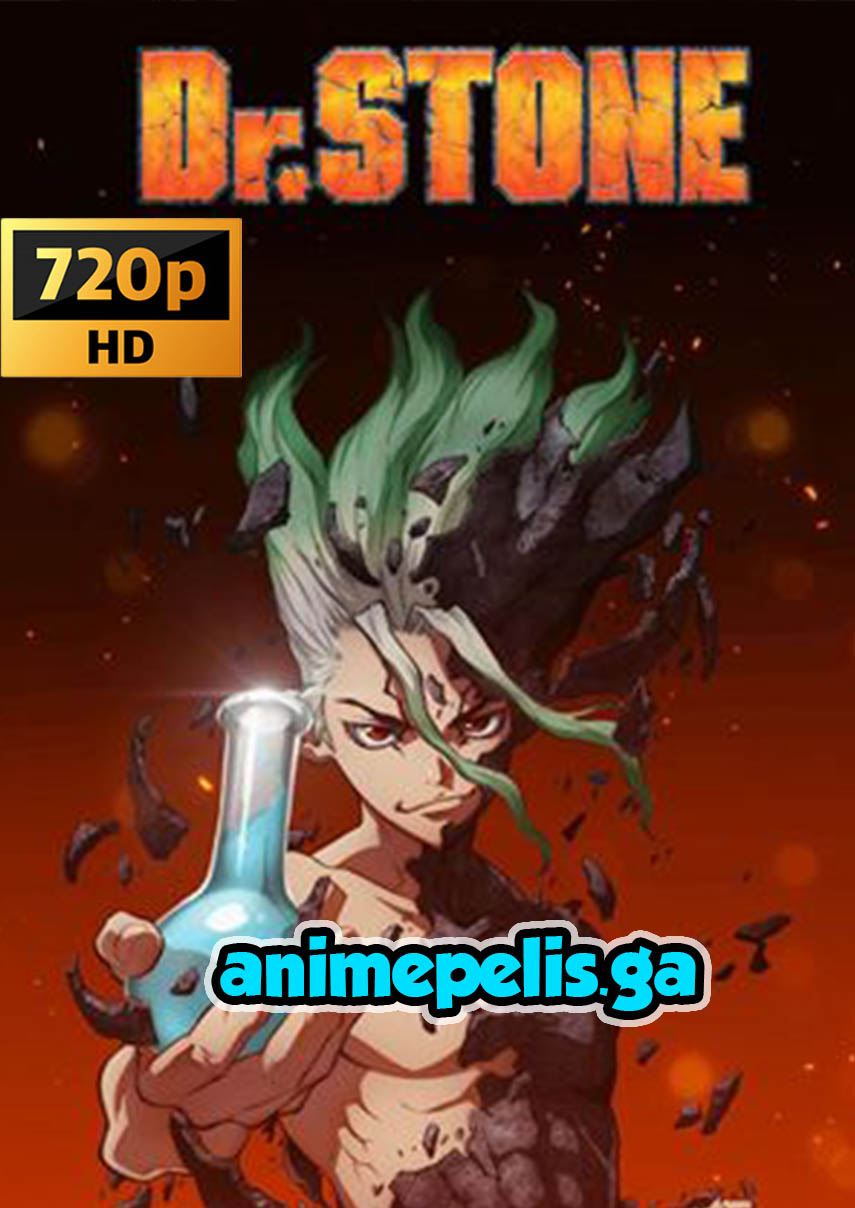 DESCARGAR DR. STONE [24/24] TEMPORADA 1 EN AUDIO LATINO [MEDIAFIRE] [MEGA]