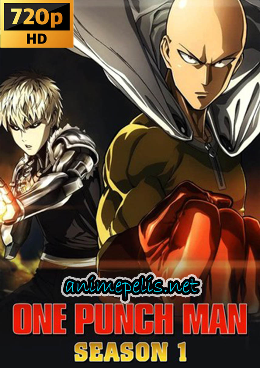 DESCARGAR ONE PUNCH MAN TEMPORADA 1 [12/12] [ESPAÑOL LATINO] [MEDIAFIRE] [MEGA]