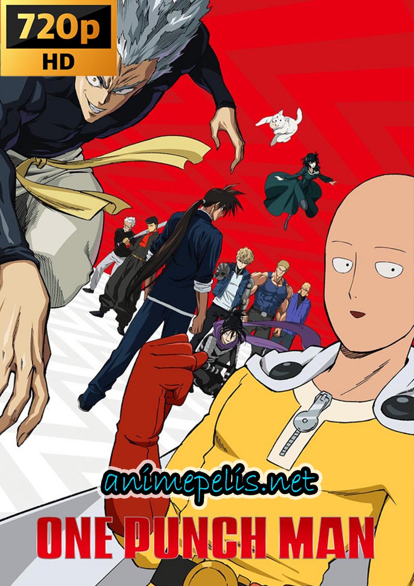 DESCARGAR ONE PUNCH MAN TEMPORADA 2 [12/12] [ESPAÑOL LATINO] [MEDIAFIRE | MEGA]