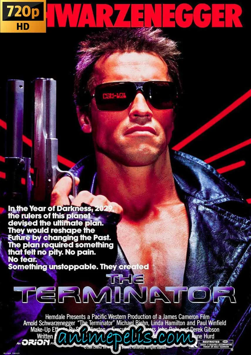 Descargar TERMINATOR: EL EXTERMINADOR (1984) [HD 720P] [MEDIAFIRE]