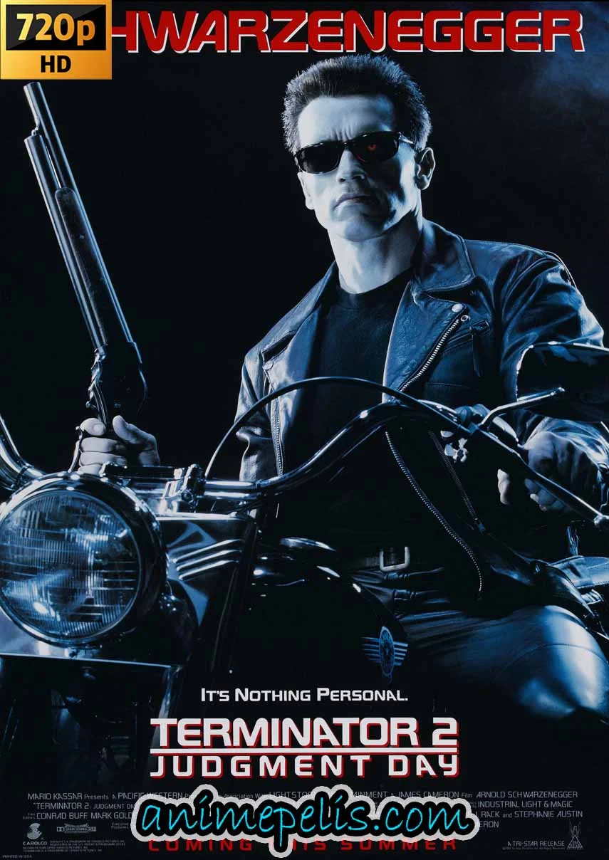 Descargar TERMINATOR 2: JUICIO FINAL (1991) [HD 720P] [MEDIAFIRE]