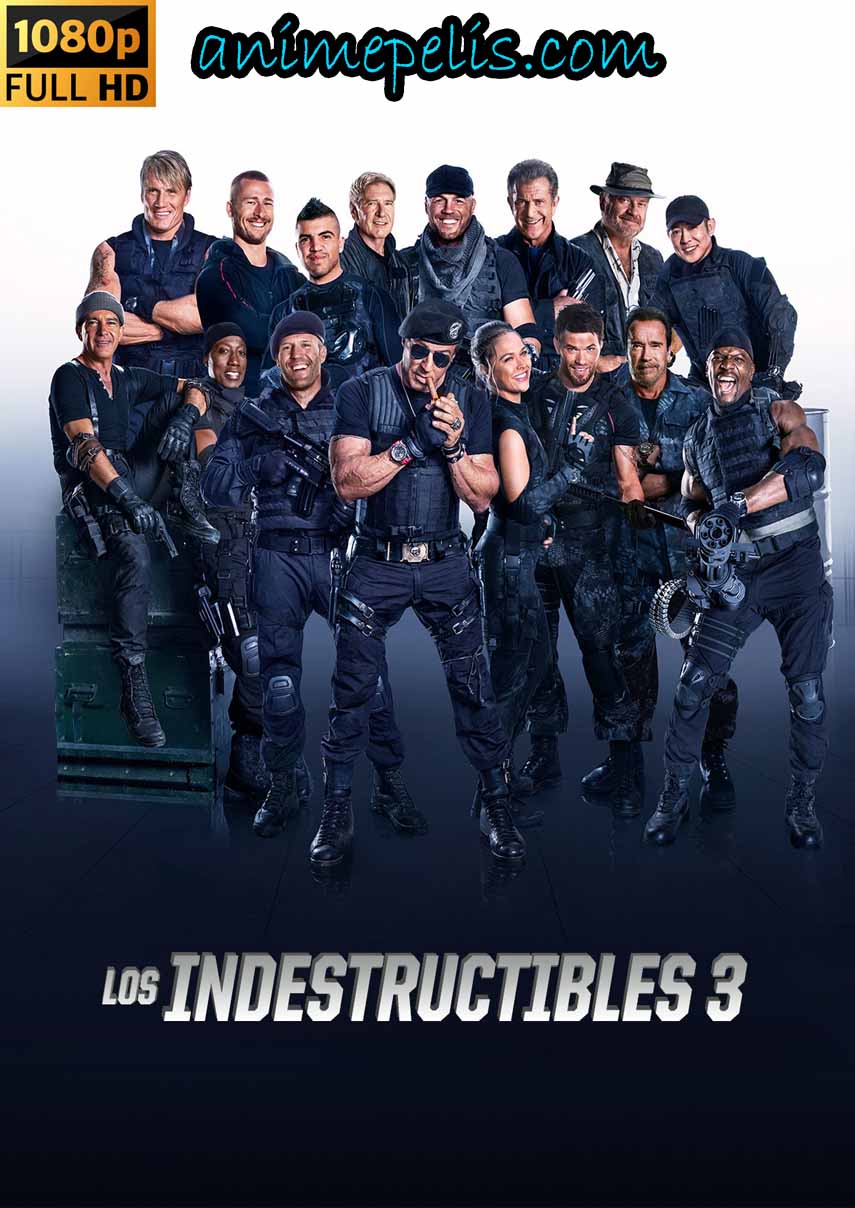 LOS INDESTRUCTIBLES 3 (2014) [1080P] [MEDIAFIRE]