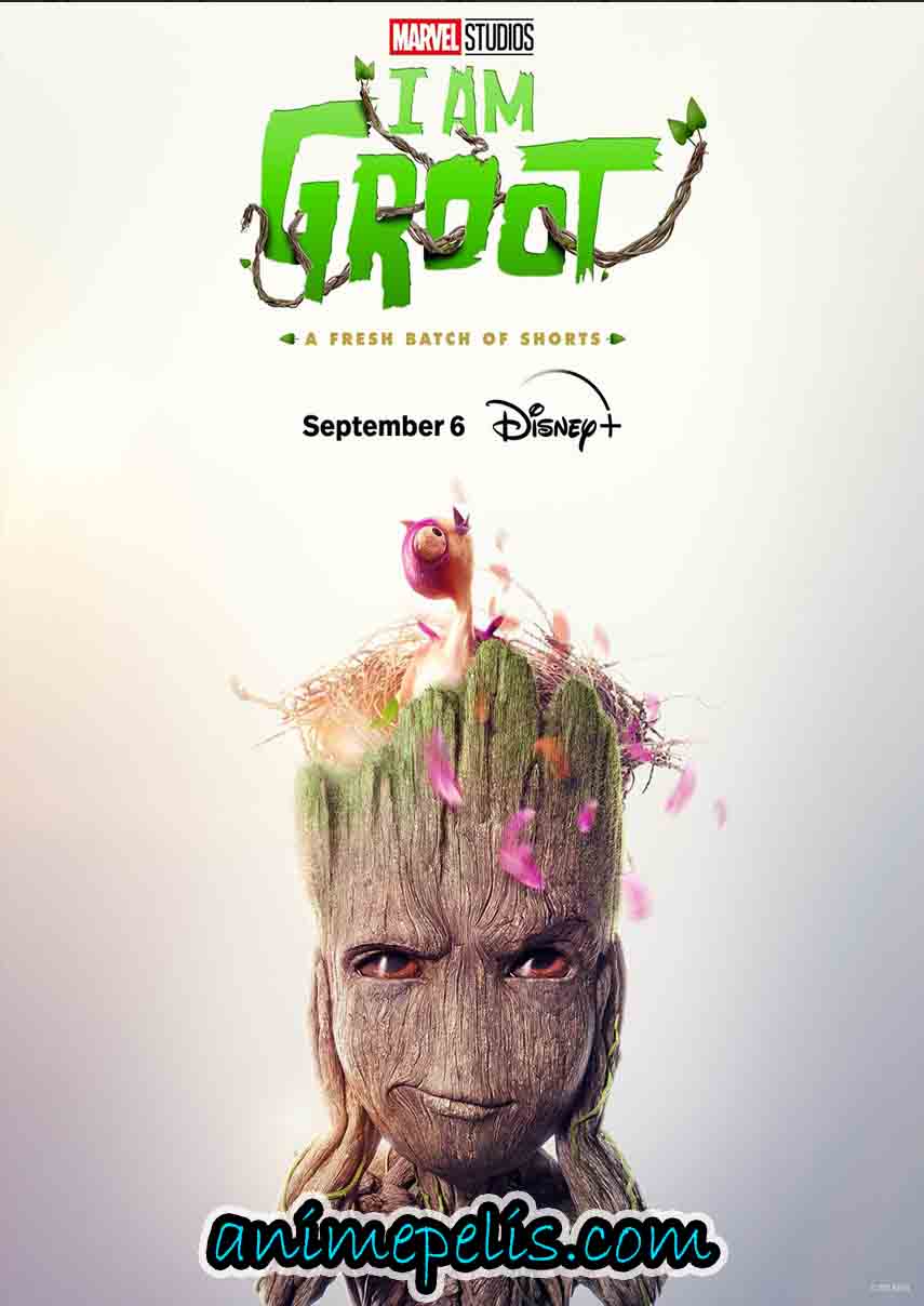 YO SOY GROOT [TEMPORADA 2] [HD 720P] [MEDIAFIRE | FIRELOAD | 1FICHIER]
