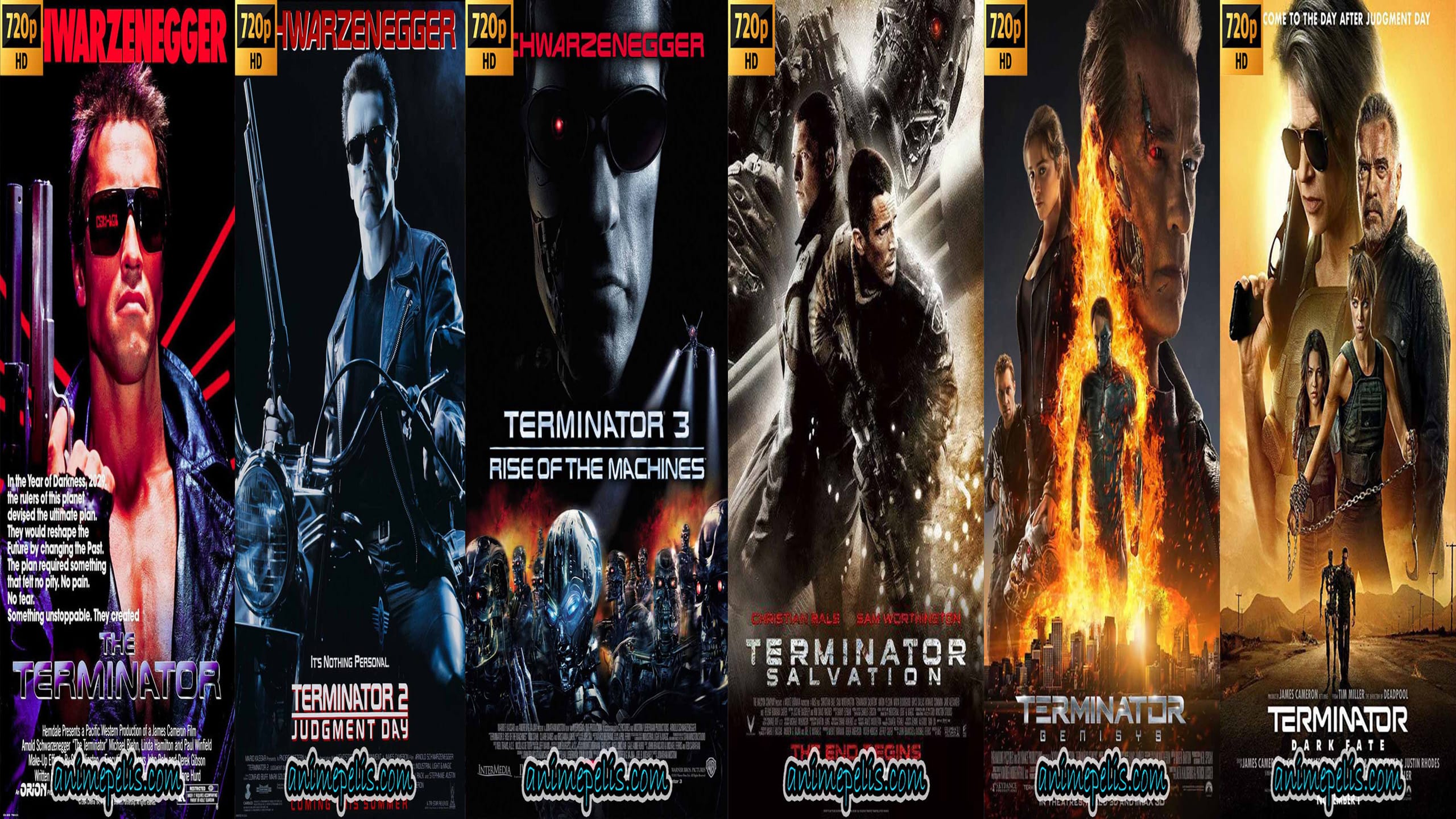 DESCARGAR TERMINATOR TODAS LAS PELÍCULAS